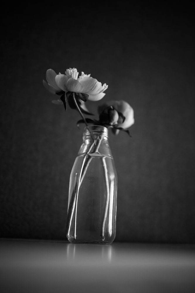Photograph by Наталья