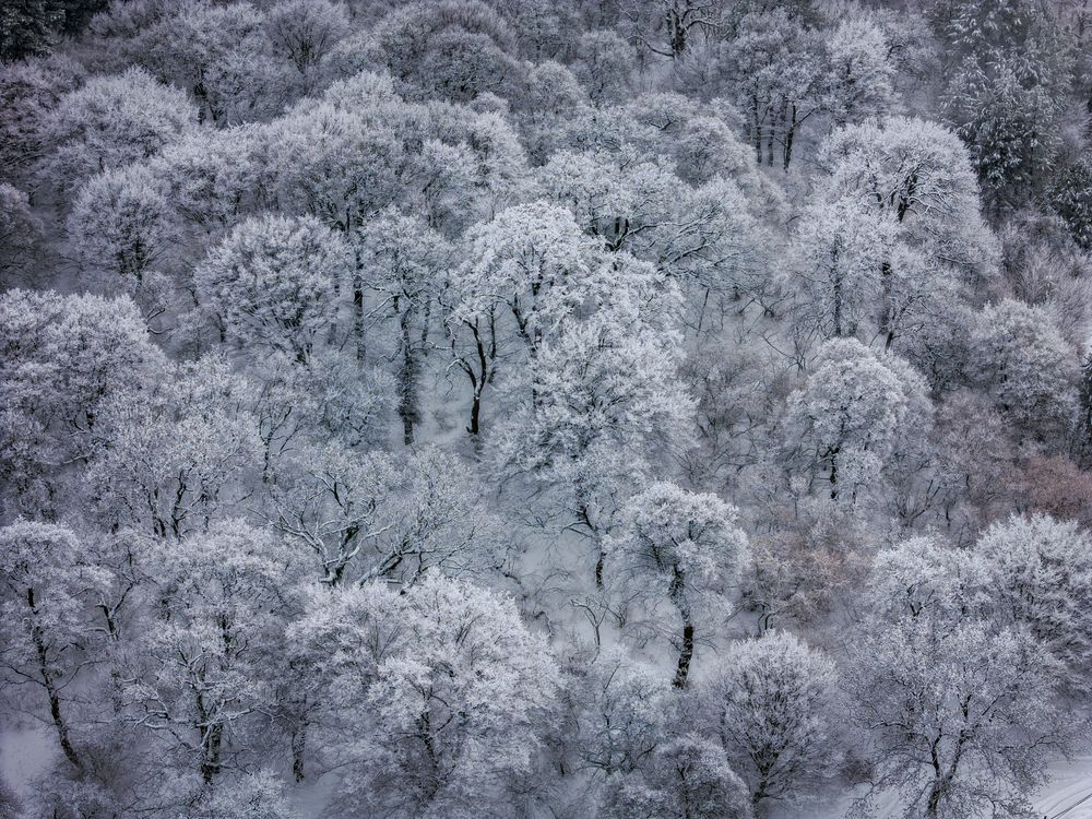 Photograph by Saba Gloveli