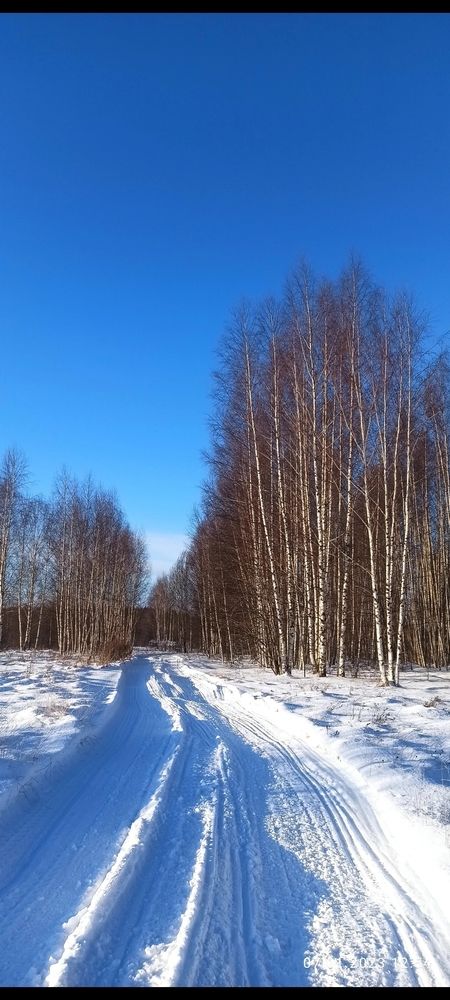 Photograph by Татьяна Исаева