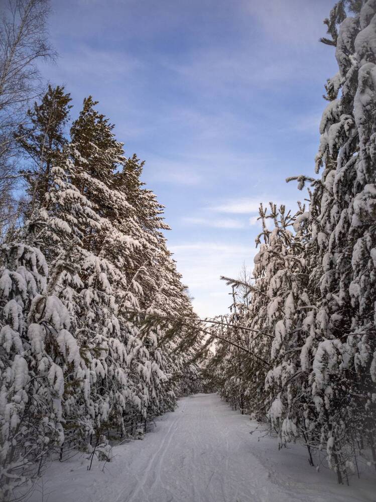 Фотография автора Иван Фомин