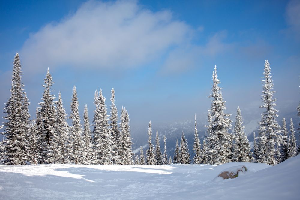 Photograph by Алина Перескокова