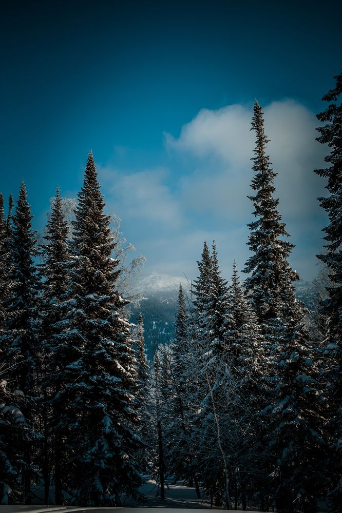 Photograph by Алина Перескокова