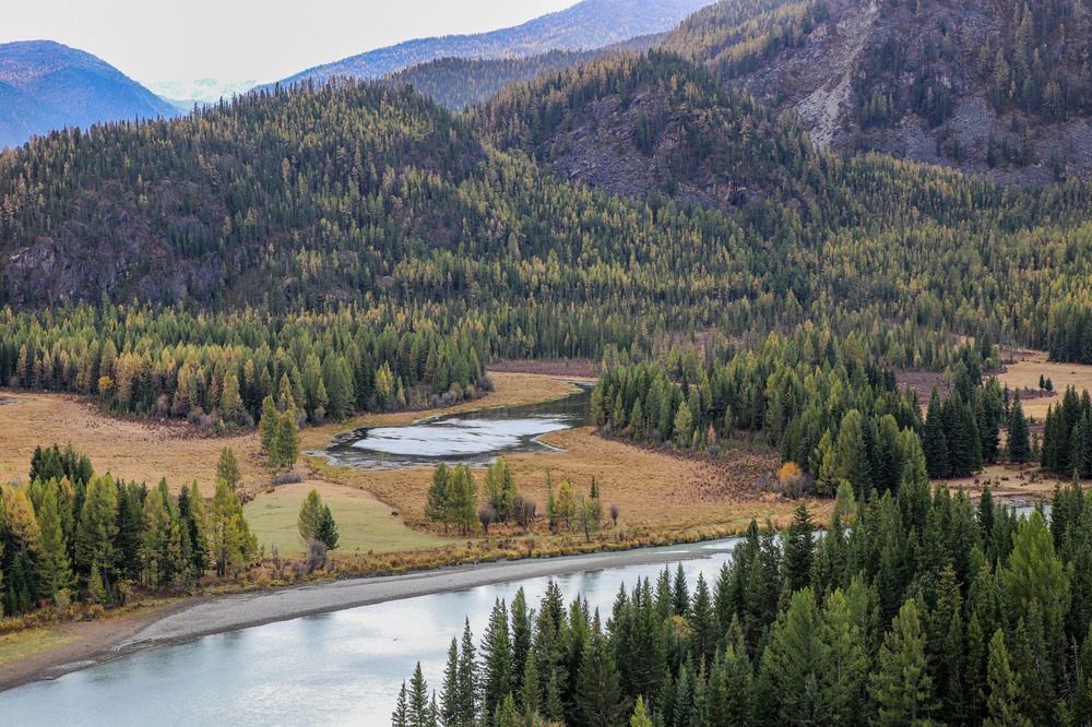 Photograph by Елена Данченко