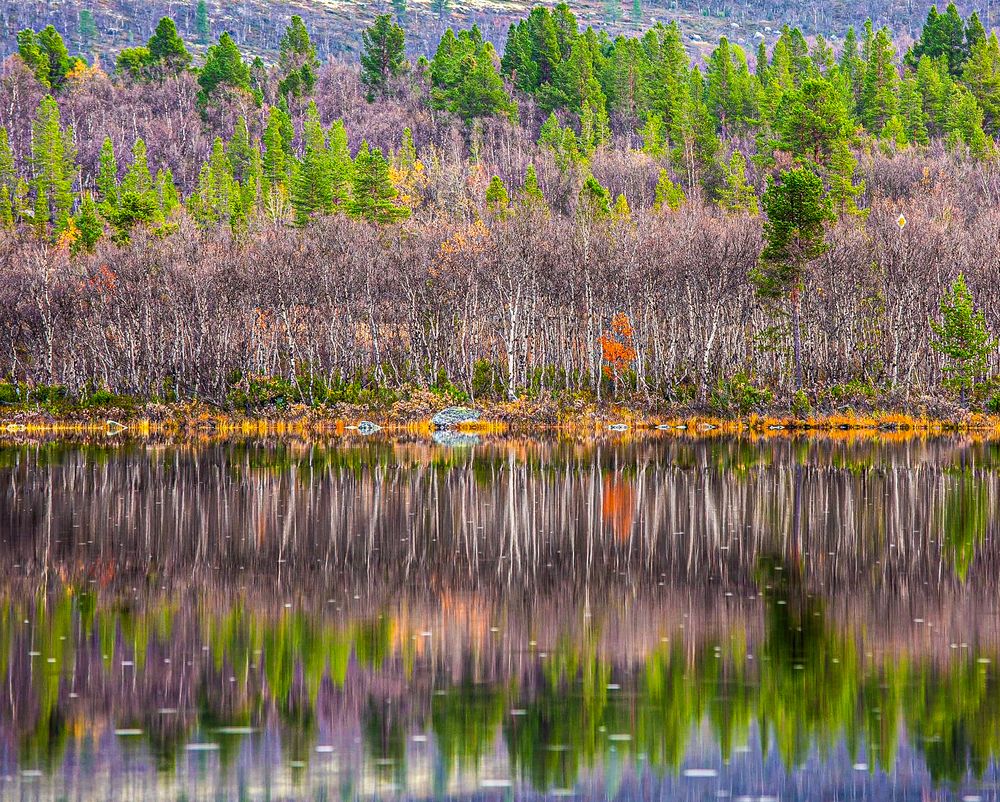 Photograph by Елена Данченко