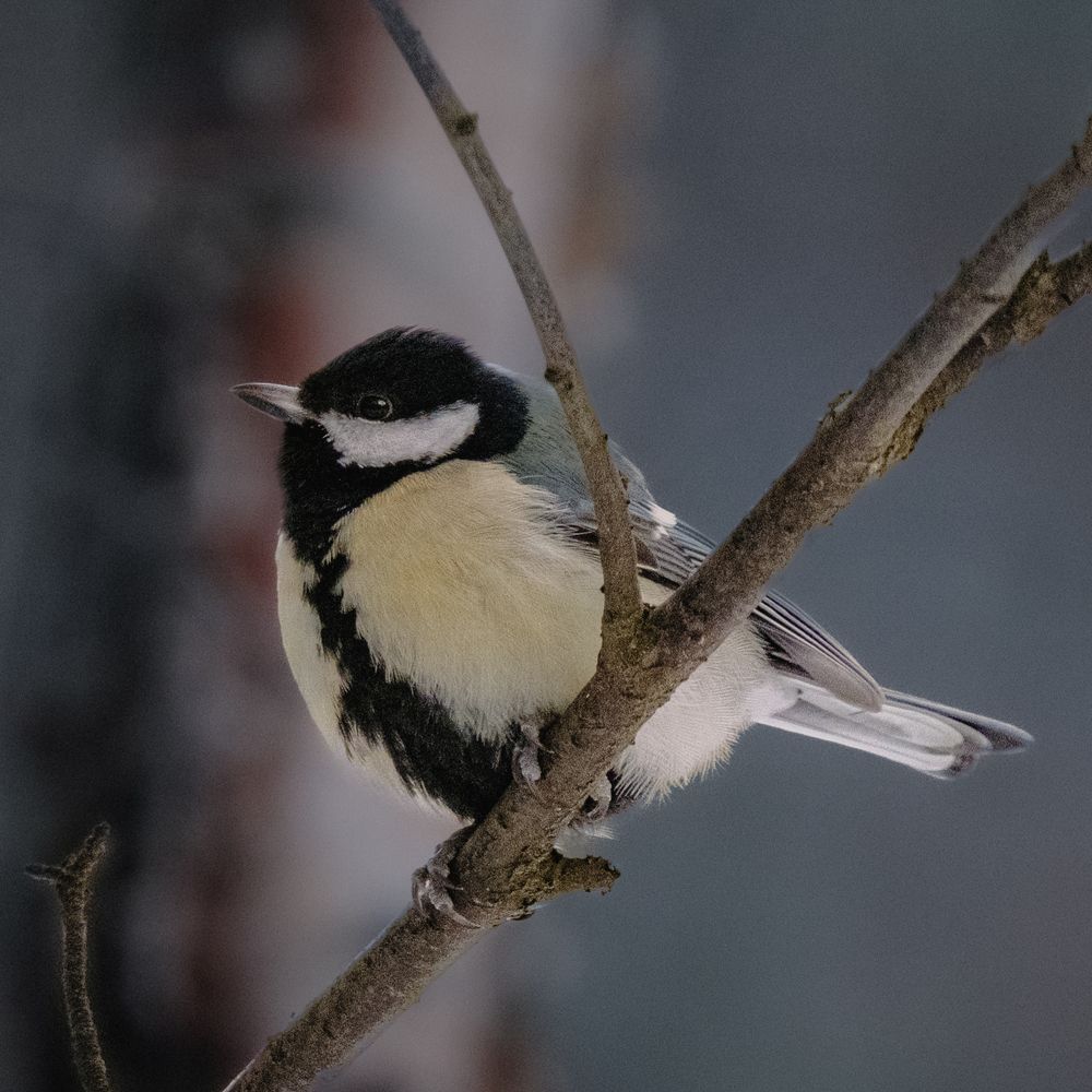 Photograph by Артём BEPTYXA