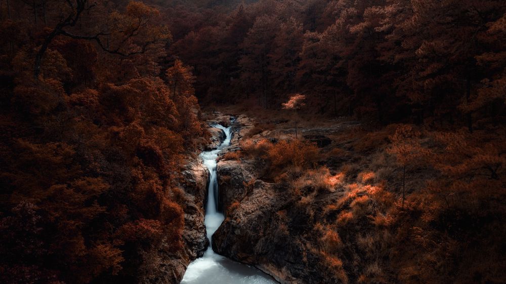 Photograph by Trung Hoa Vo