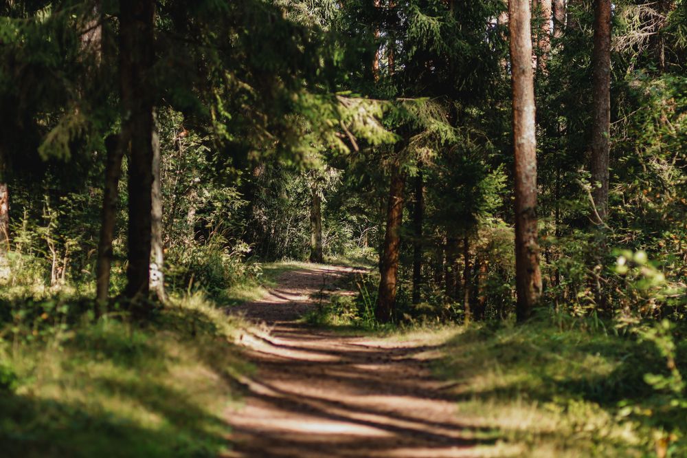 Photograph by Хельга Кольцова