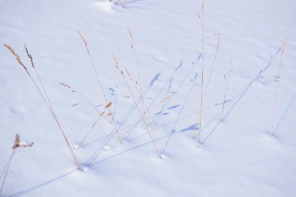 Photograph by Евгения Супрыгина