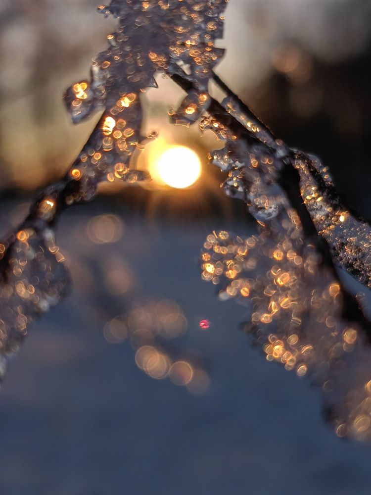 Photo #11835216