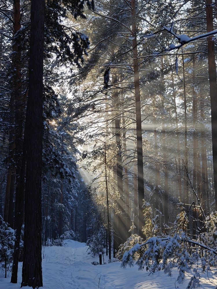 Фотография автора Кузнецов Дмитрий