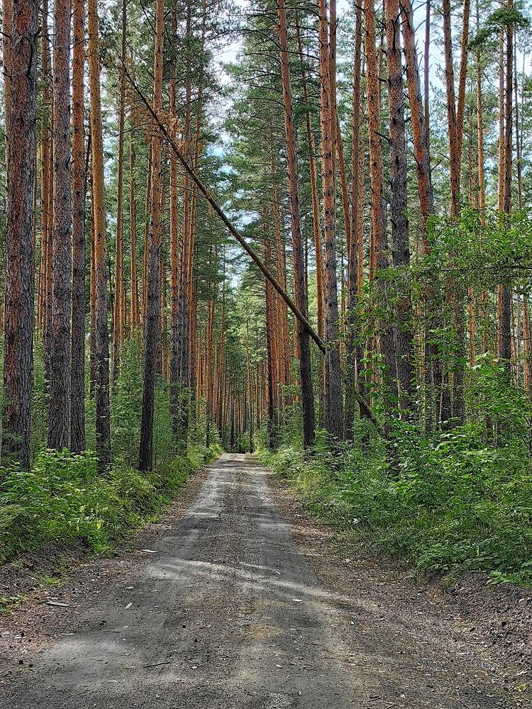 Photograph by Анастасия Ермакова