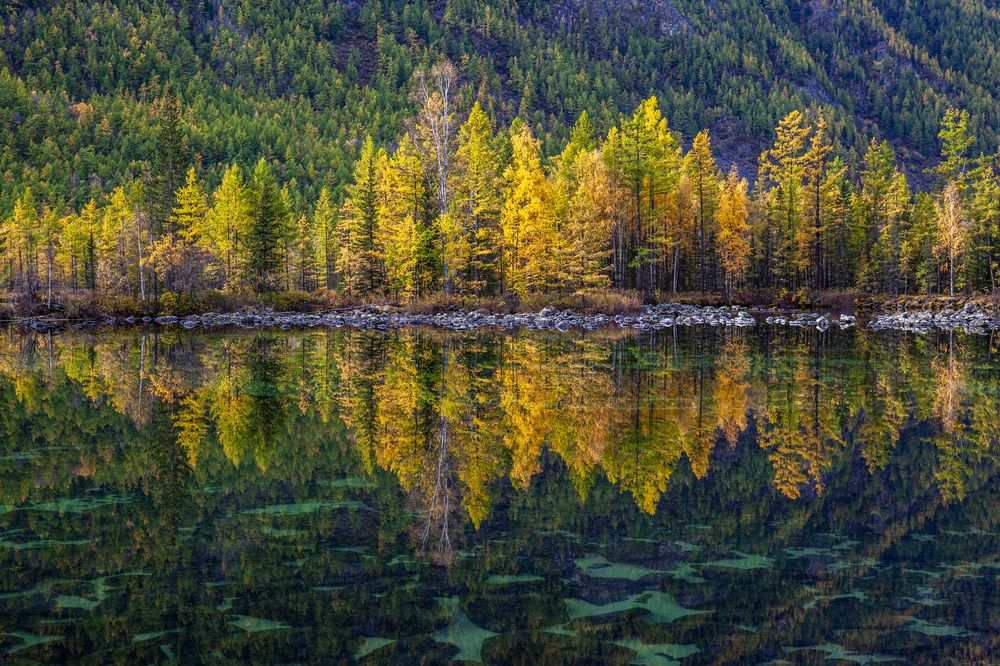 Photograph by Виктор Калинский