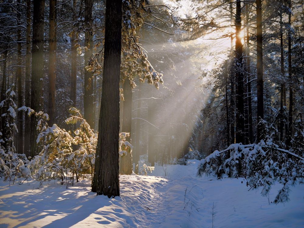 Фотография автора Кузнецов Дмитрий