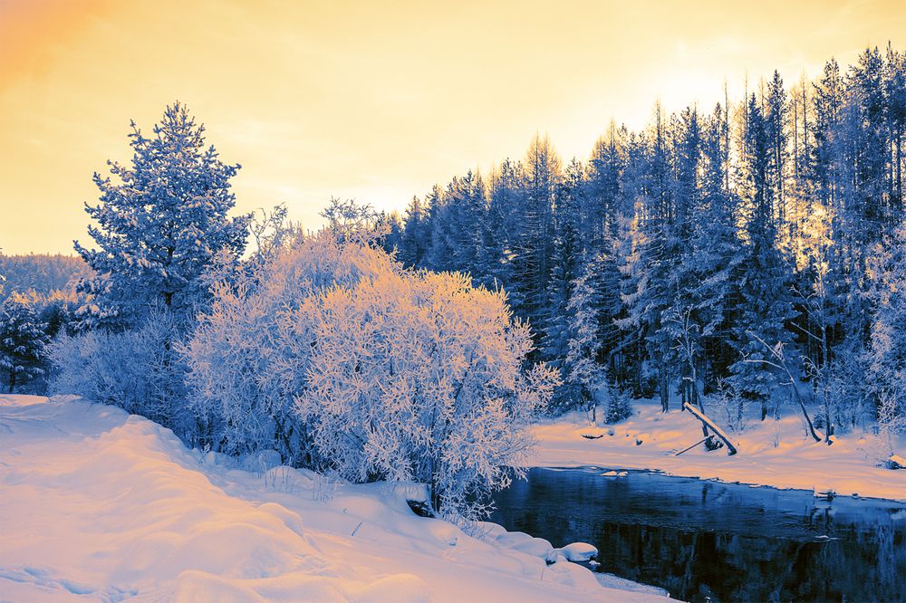 Photograph by Sergey Lebedev