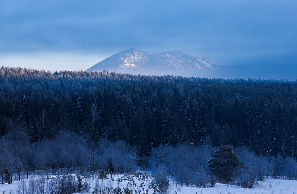 Фотография автора Олег Каргаполов