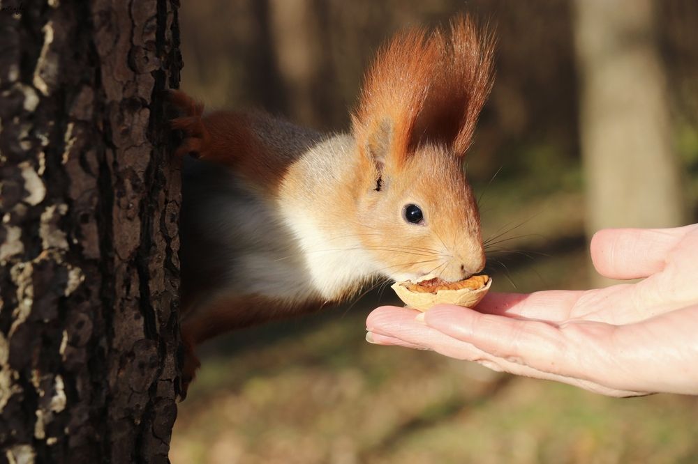 Photograph by Анастасия Артёменко