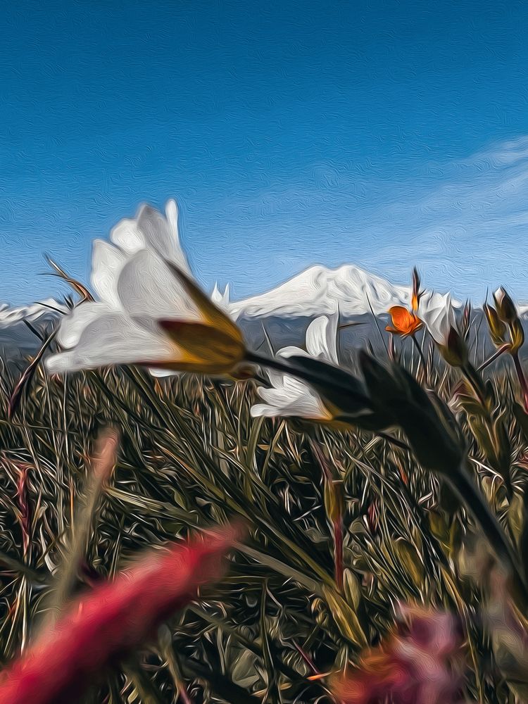 Photograph by Ольга Волкова