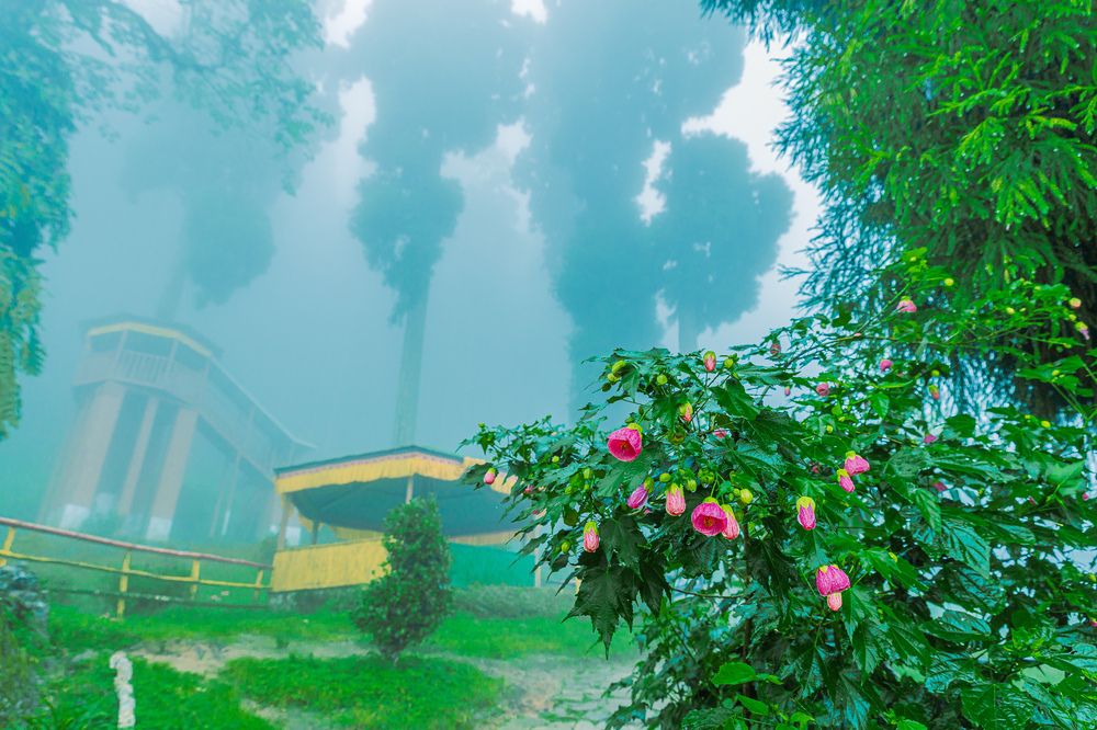 Фотография автора Shuvadeep Paul