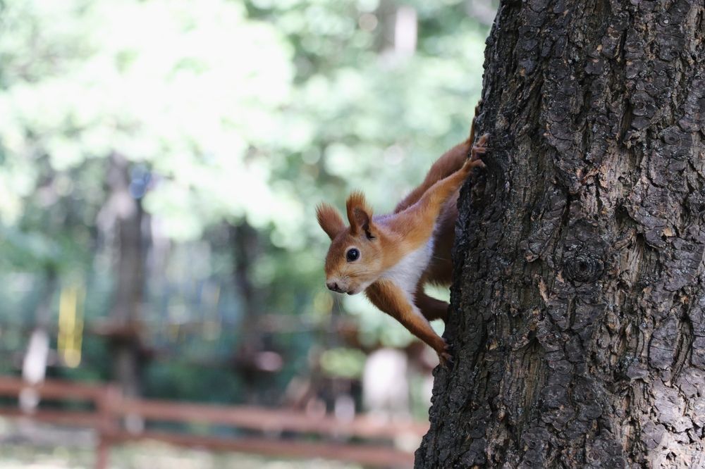 Photograph by Анастасия Артёменко