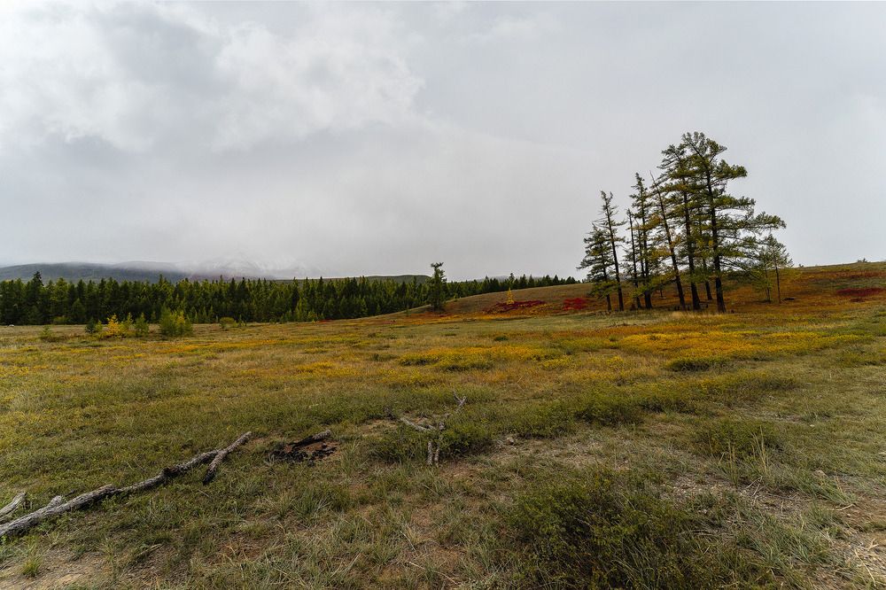 Photograph by Константин Щербаков