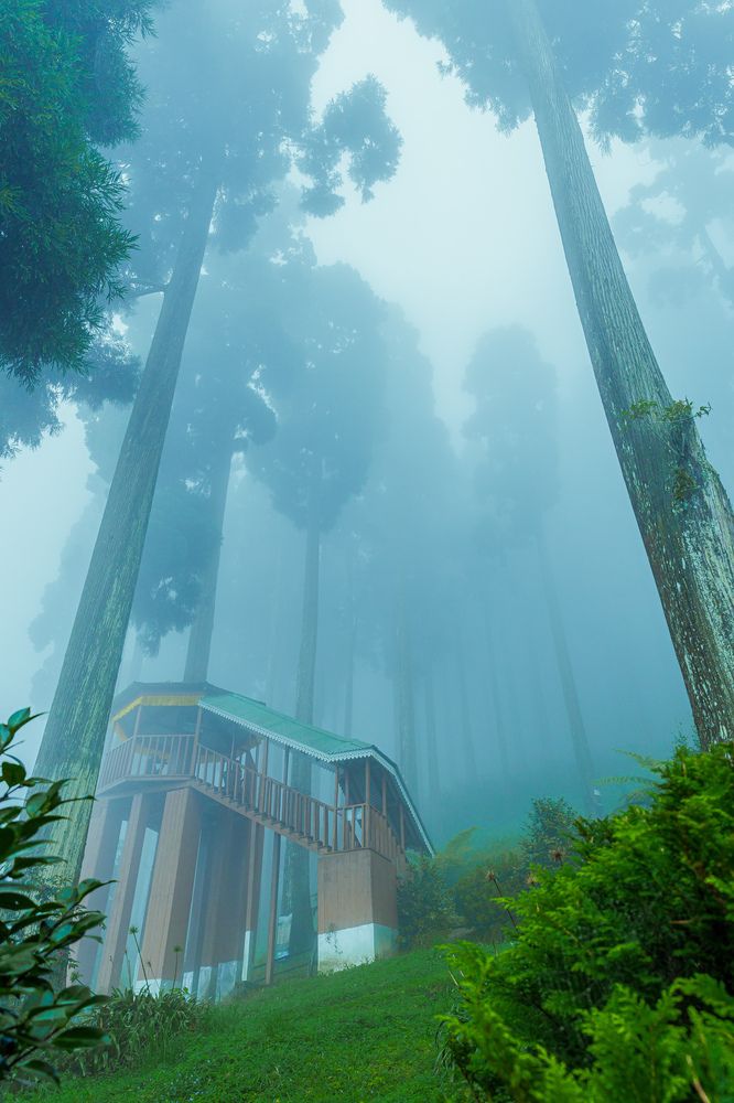 Фотография автора Shuvadeep Paul