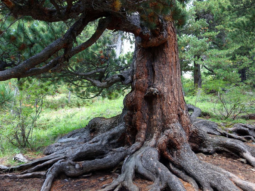 Photograph by Марина