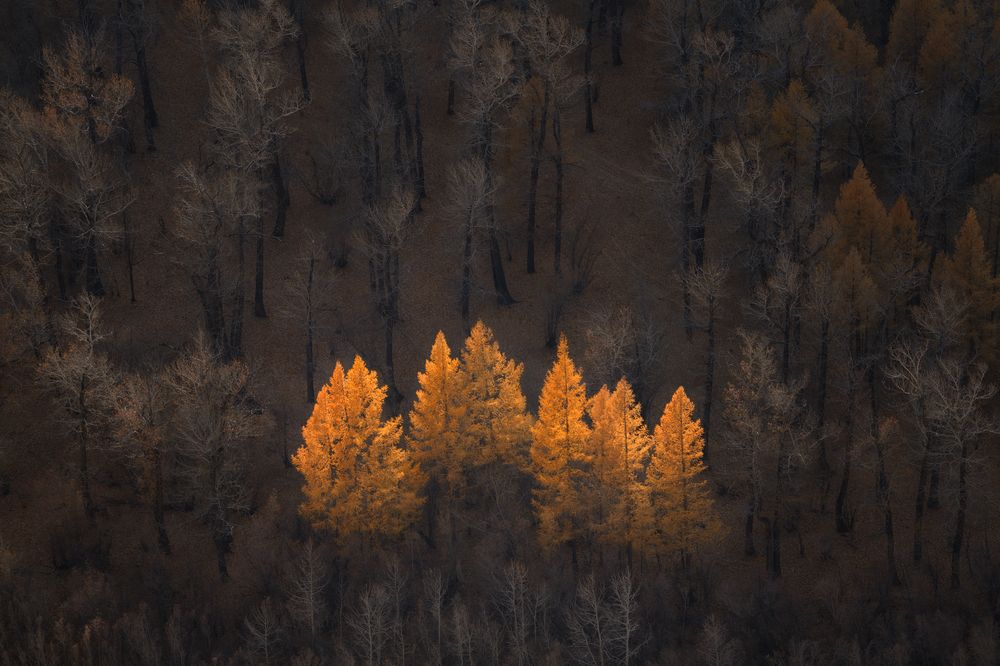 Photograph by Гордиенко Анатолий
