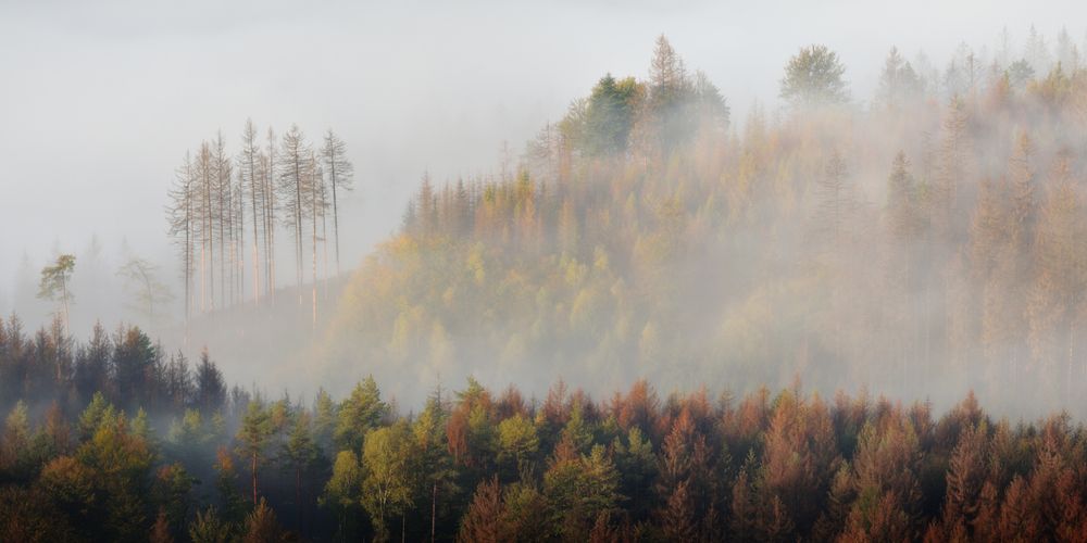 Там, за туманами