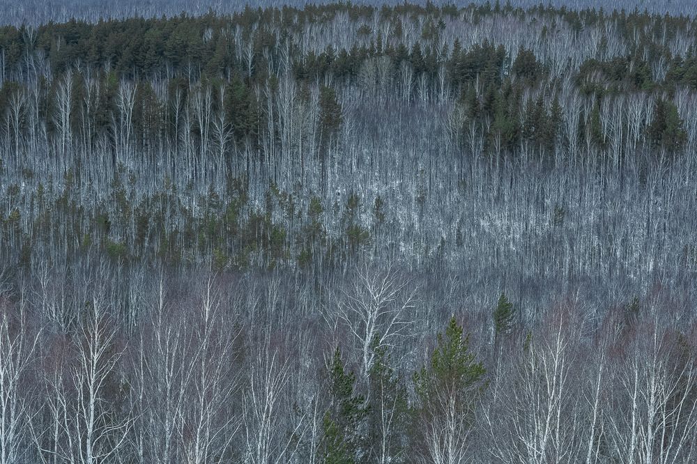 Фотография автора Олег Каргаполов