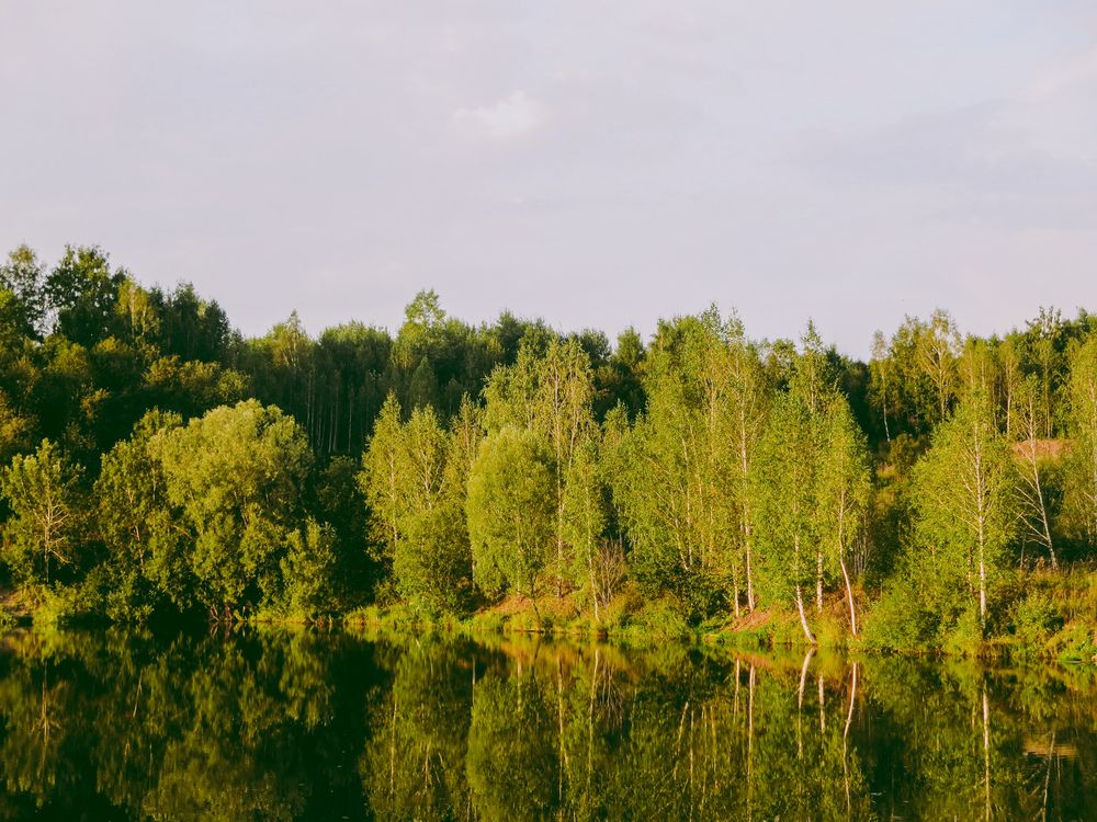 Photograph by Дарья Овсянникова