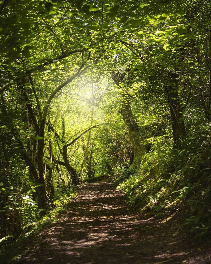 Фотография автора Aida Cea