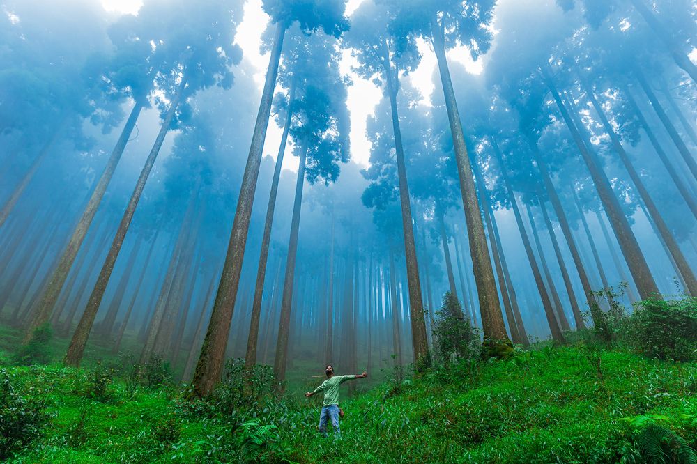 Фотография автора Shuvadeep Paul