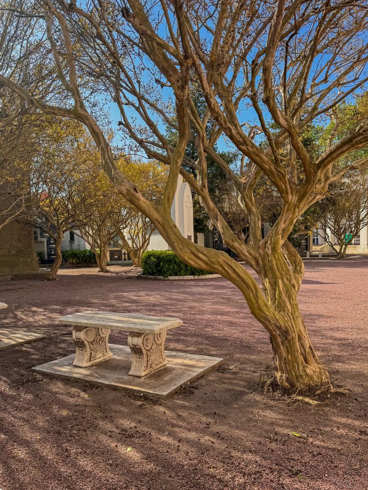 Photograph by Maria julieta ZURZOLO