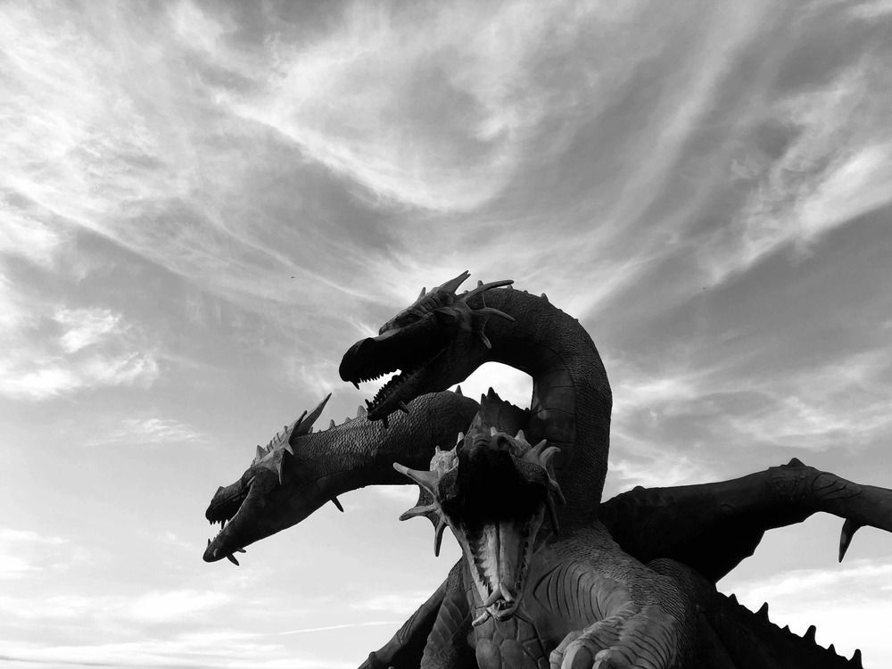 Photograph by Анастасия Артёменко
