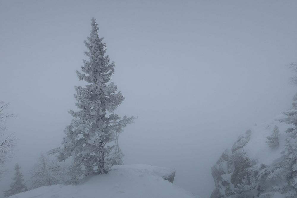 Photograph by Евгений Распопин