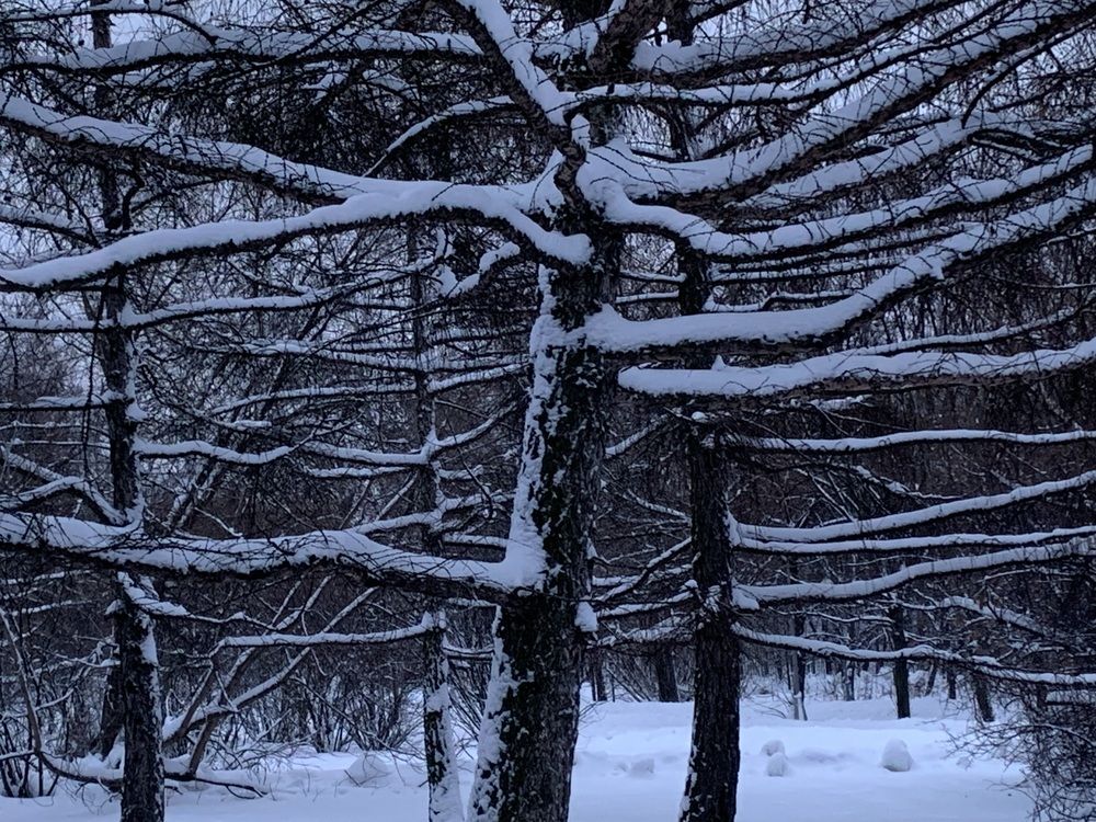 Photograph by Саровская Ника