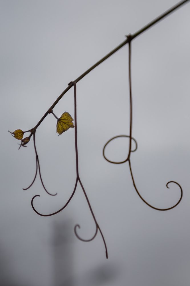 Photograph by Галина Юдина