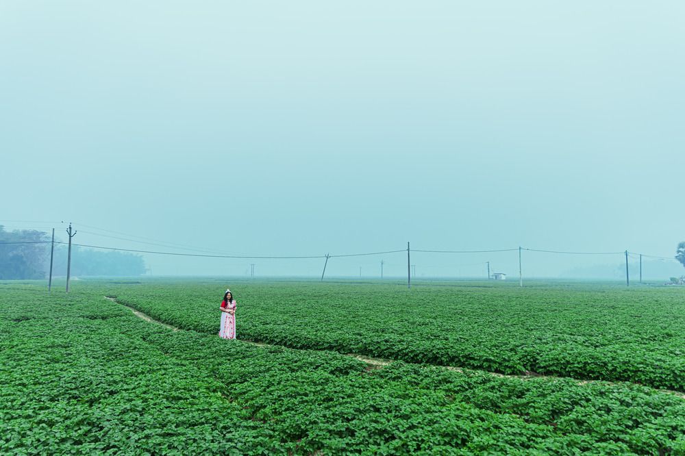 Фотография автора Shuvadeep Paul