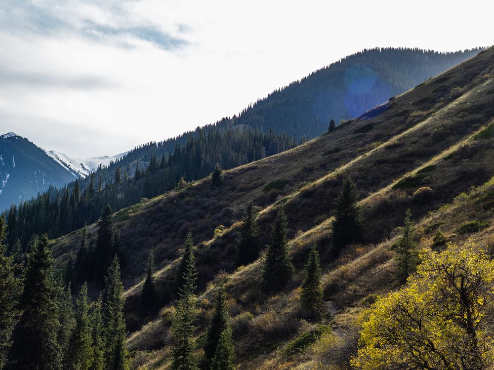 Фотография автора Татаринов Валерий