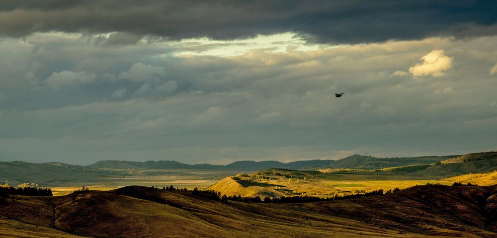 Photograph by Сергей Синягин