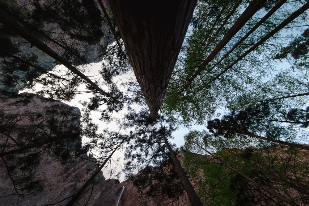 Стремление вверх