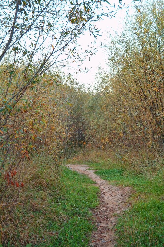 Photograph by София Бояринцева