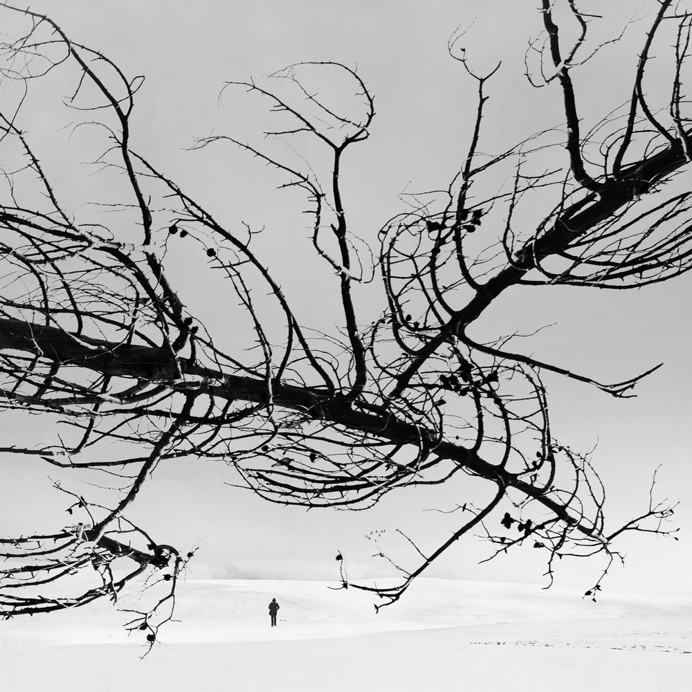 Photograph by Mohammad Dadsetan