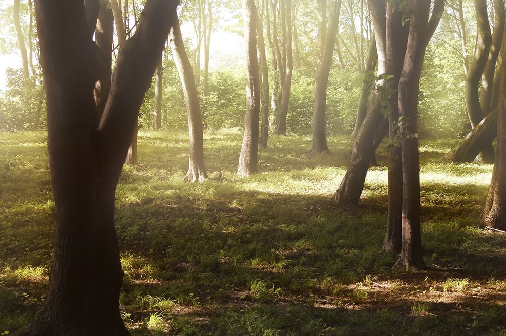 Photograph by Алексей Парамонов