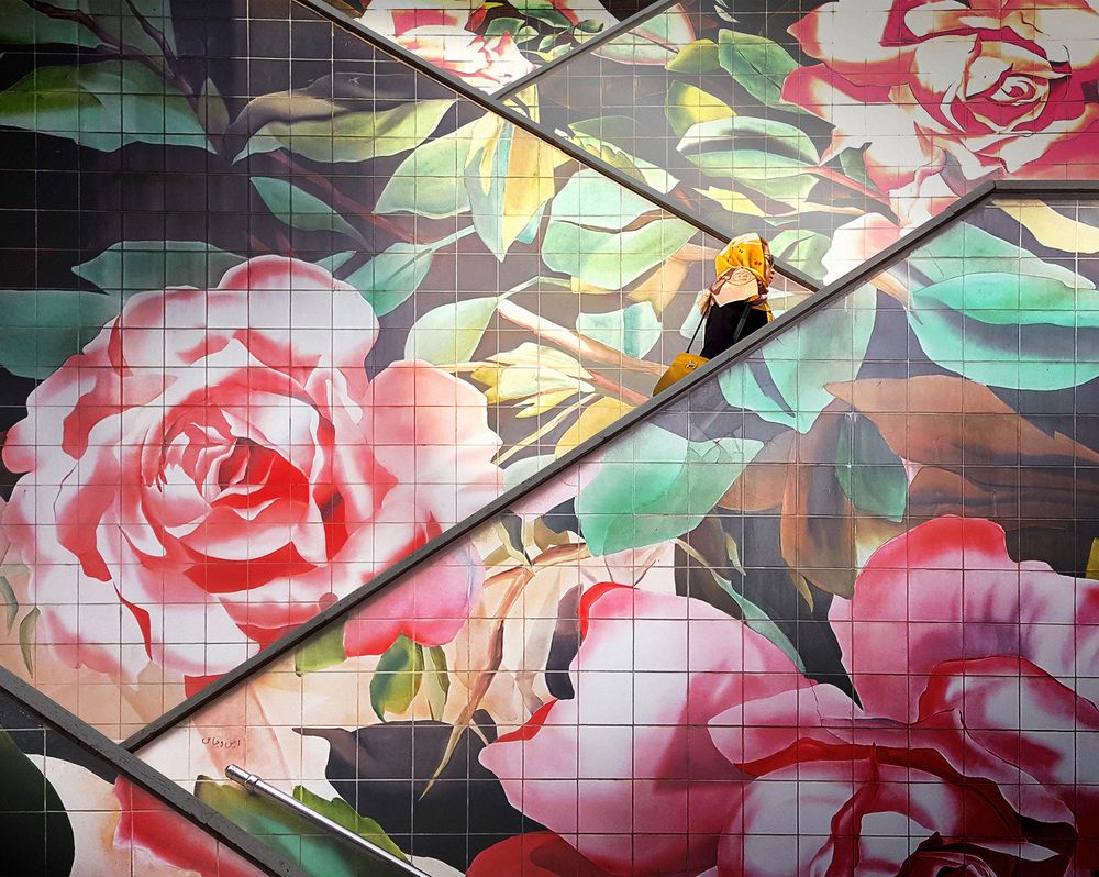 Photograph by Mohammad Dadsetan