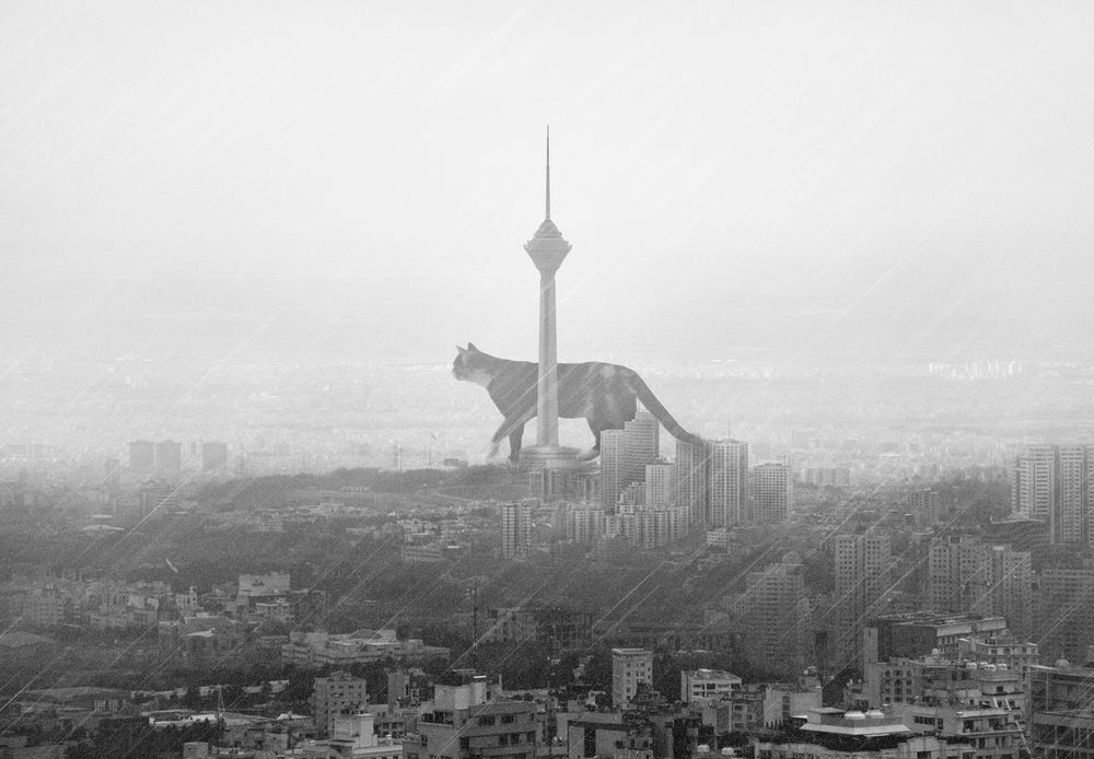 Photograph by Mohammad Dadsetan