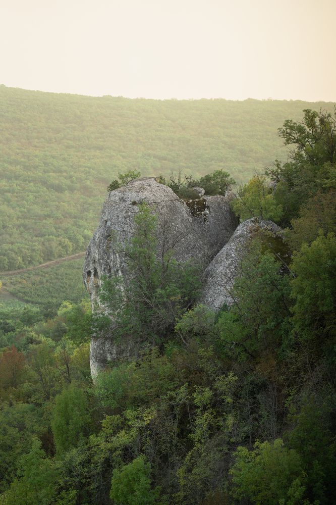 Photograph by Артём Гуцалюк