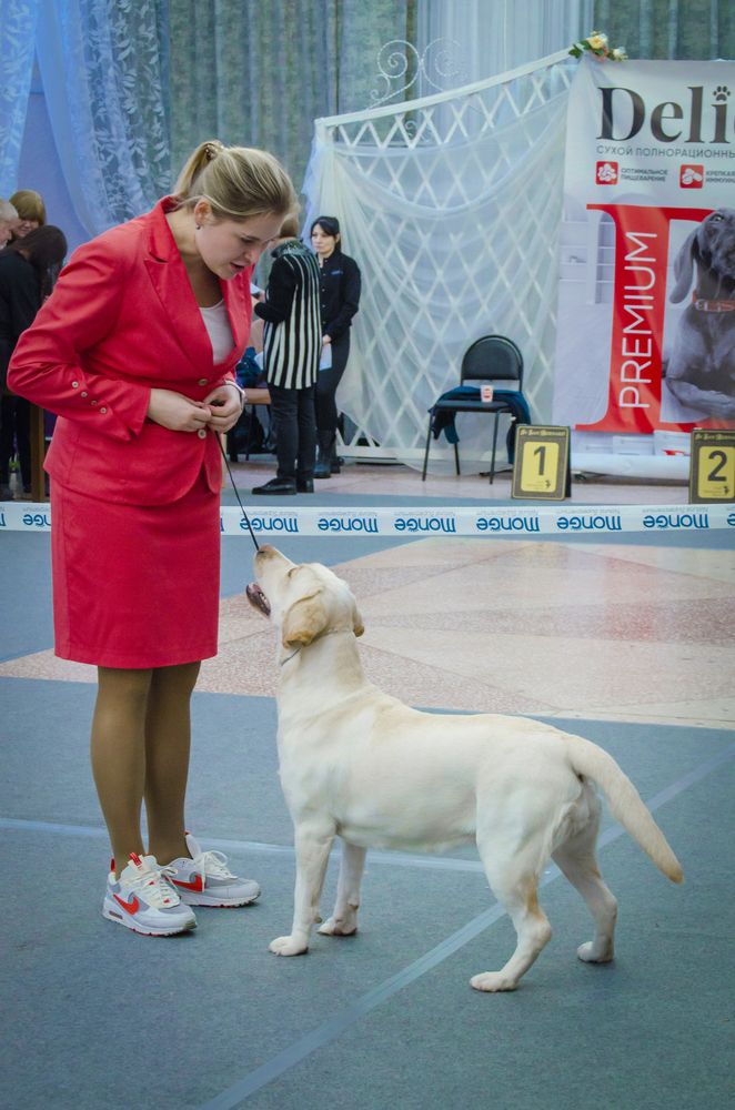 Photograph by Любовь Бусова