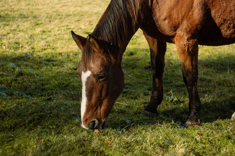 Photograph by Татьяна Жук