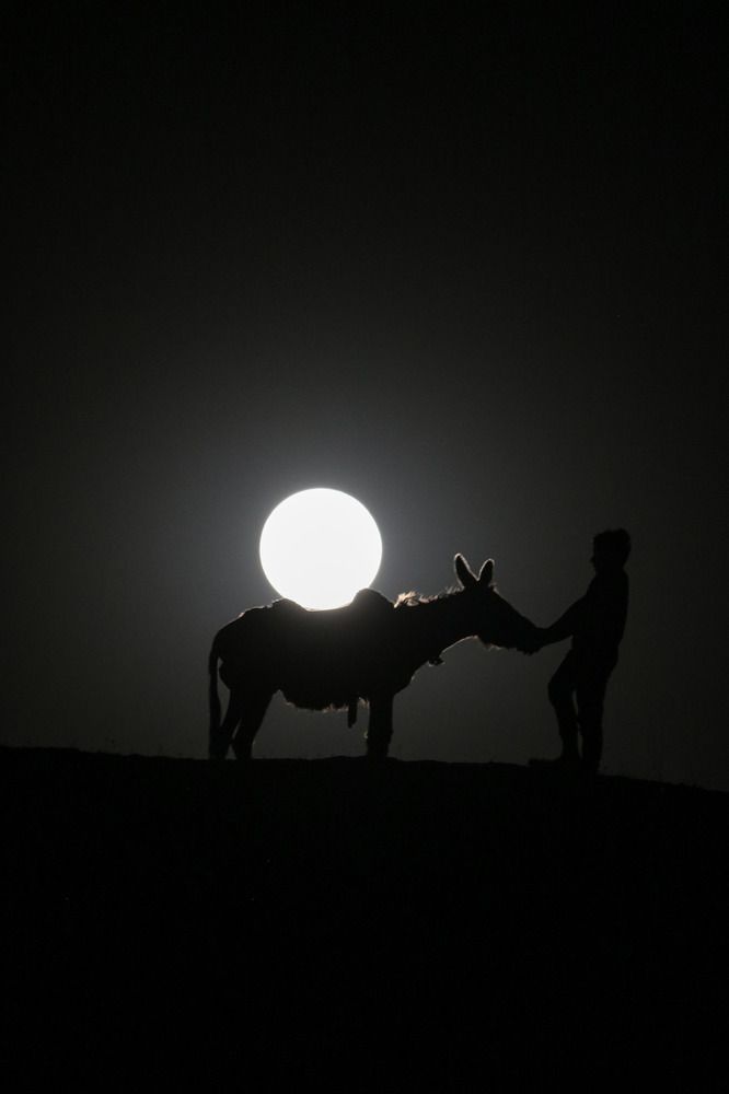 Photograph by javad abolhassani